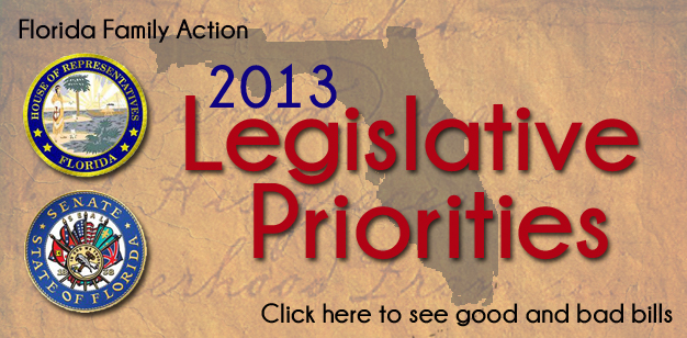 Final 2013 Legislative Report