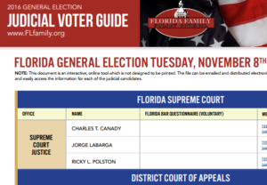 judicial-voter-guide-screenshot