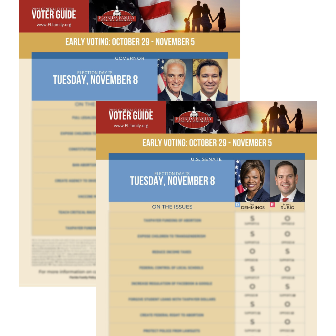 preview voter guide c3